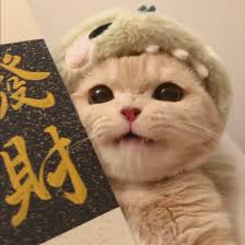 User Avatar Carlo M.